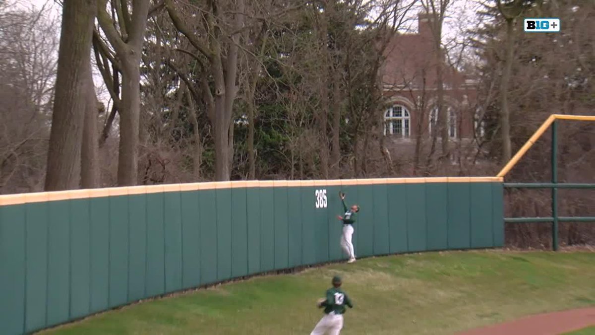 Jack Frank navigated the hill, and snagged it at the wall. 🤯 Jack Frank x Michigan State Baseball