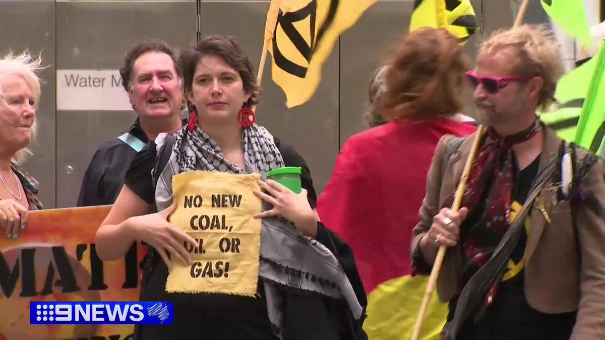 A serial activist, who delayed thousands of commuters by blocking the West Gate Bridge, has been thrown back behind bars after having her sentence increased on appeal. Carrie Greenbank #9News