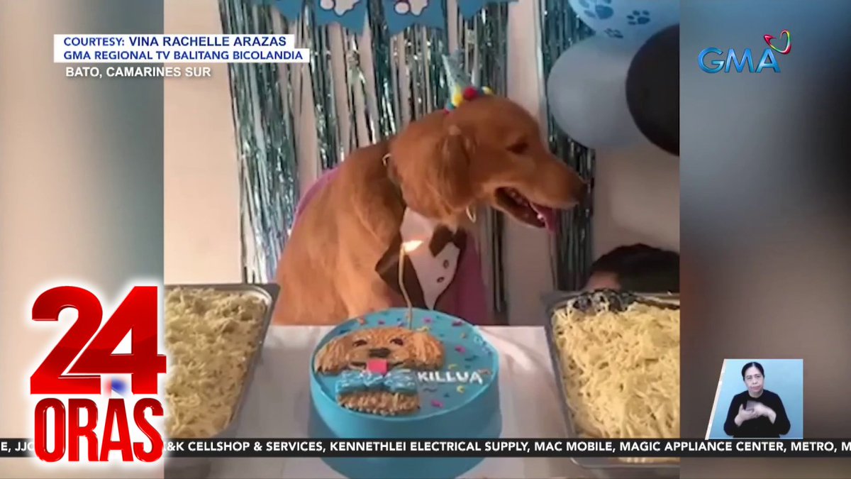 Patay matapos habulin at paghahampasin ang isang alagang aso sa Camarines Sur. Katuwiran ng suspek, perwisyo at may kinagat na umano ang aso sa lugar. Bisitahin ang para sa iba pang balita.