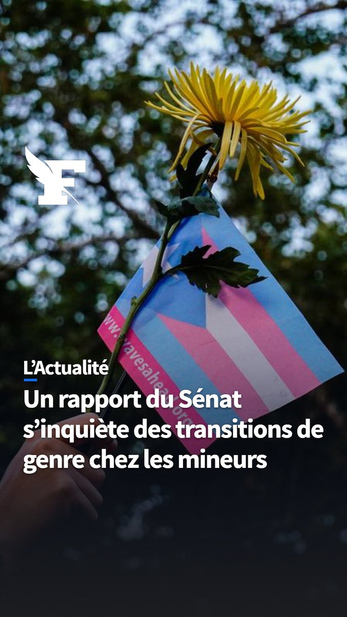 Un rapport de la droite au Sénat dresse un constat alarmant de la prise en charge médicale des mineurs en questionnement de genre. Il accuse les associations transactivistes d’accélérer le parcours de ces enfants vers une transition de genre pouvant être irréversible.