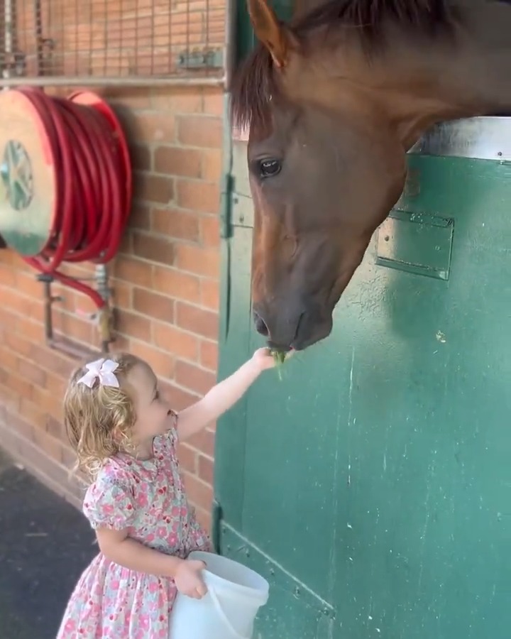Manaal's good luck charm, Emma Freedman's daughter Edie 🤗 Go well in the Golden Slipper!