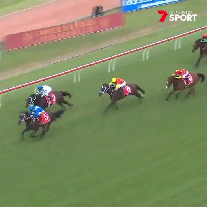 2016 🏆 2017 🏆 2018 🏆 2019 🏆 Winx made the George Ryder Stakes her own! 💪 Winx (Official)Ⓜ️Ⓜ️Ⓜ️Ⓜ️ Chris Waller Racing