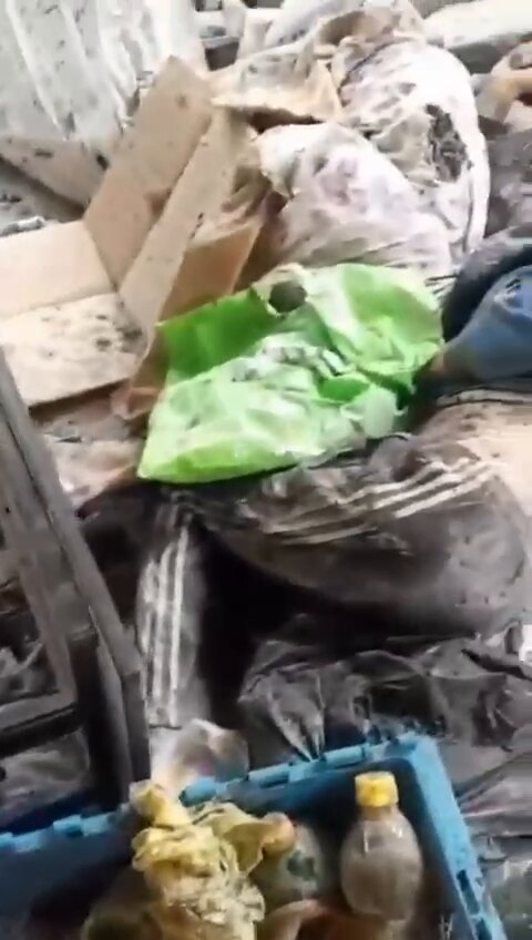 Gazze’de, Şifa Hastanesinde yaralı kadınlar çocuklar İsrail tarafından infaz ediliyor. Nedir bu sessizlik! Ayağa kalkın Müslümanlar…