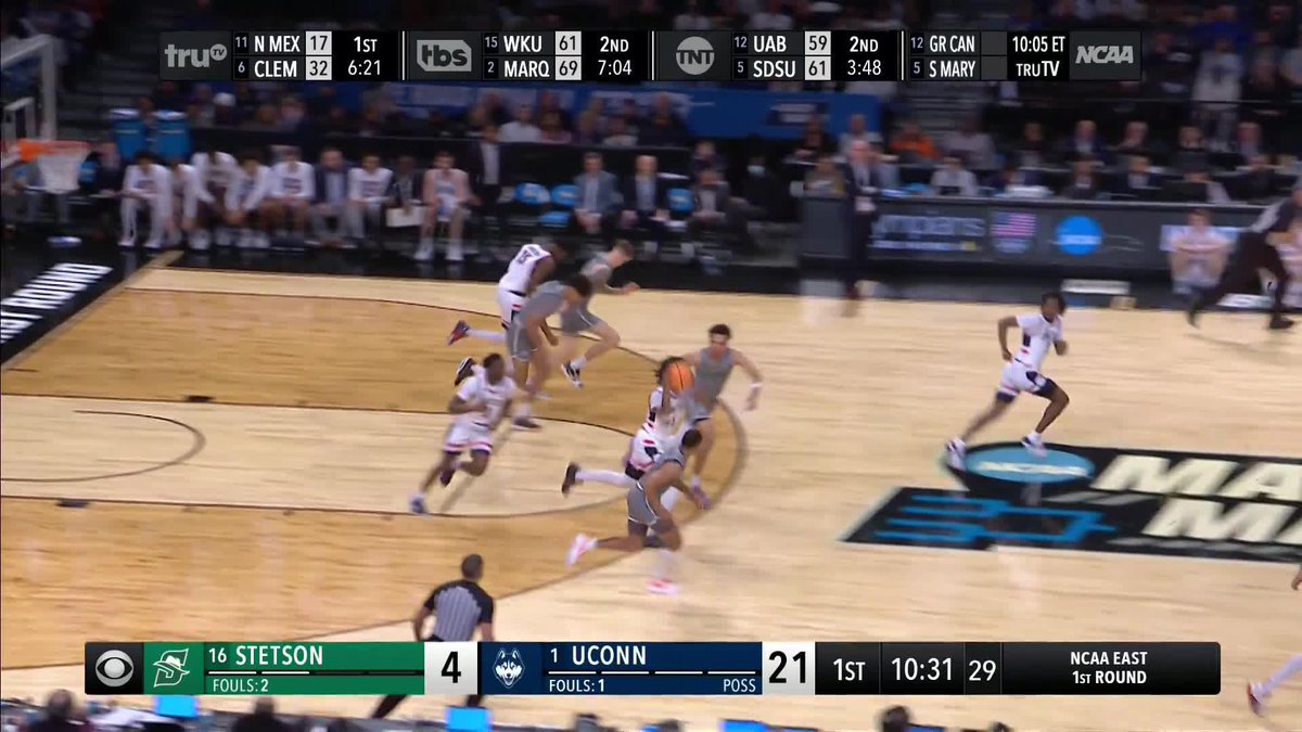 NEWTON ⬆️ STEWIE ⬇️