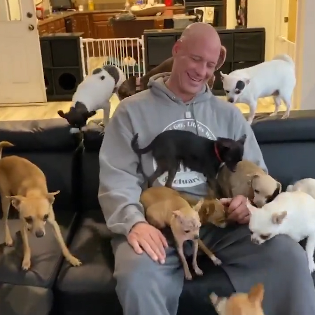 @Morbidful This guy's addicted to rescuing Chihuahuas