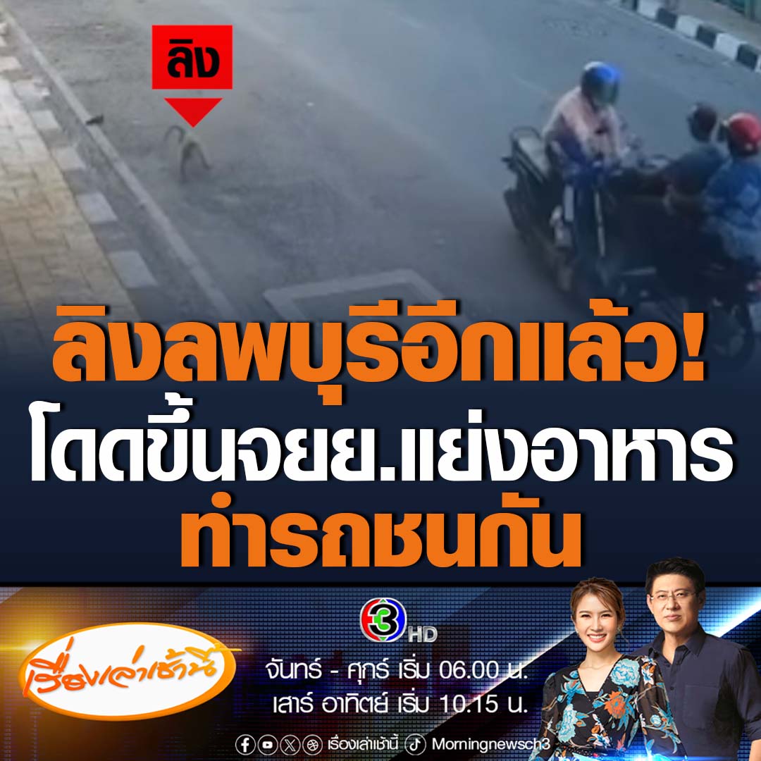 #เรื่องเล่าเช้านี้ ลิงลพบุรีเหิมอีก กระโดดขึ้นรถจักรยานยนต์แย่งอาหาร ทำให้เกิดอุบัติเหตุชนกับรถที่ขี่สวนมาได้รับบาดเจ็บ เหมือนกับลิงทำงานเป็นทีม อีกตัวกระโดดใส่และฝูงลิงค่อยมาแย่งอาหารไป #ข่าวช่อง3 #ข่าวสังคม #ลิงลพบุรี
