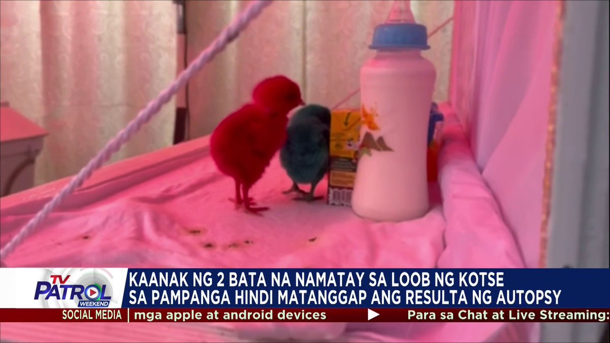 Walang "foul play" sa pagkamatay ng dalawang bata na na-trap sa loob ng sasakyan sa Angeles, Pampanga, ayon sa medico-legal officer ng PNP. Hindi naman matanggap ng mga kaanak ng mga bata ang resulta ng autopsy.