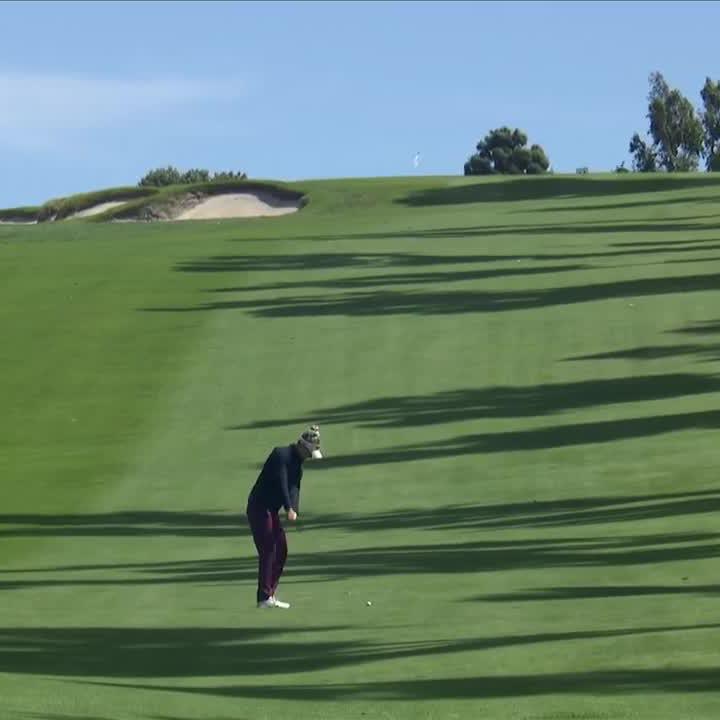 Sick camera shot, sick eagle
