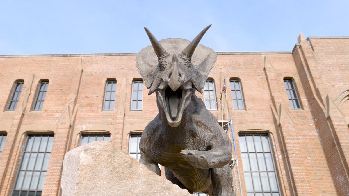 The doors are open! 🦕🦖 After a transformative renovation, the Yale Peabody Museum has officially reopened to the public. Come and experience the evolution of this Yale and New Haven treasure! Plan your visit: Yale Peabody Museum #Yale #YalePeabody2024