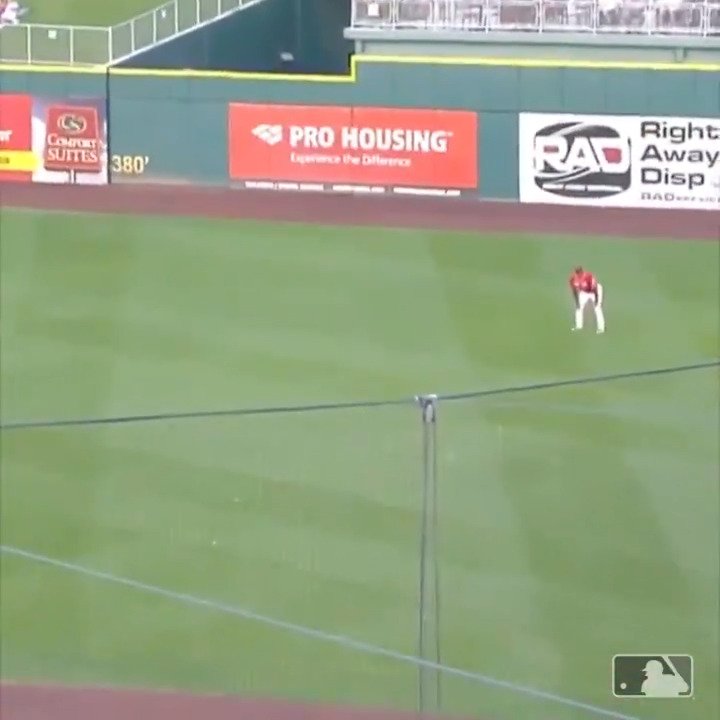 Most casual snag ever
