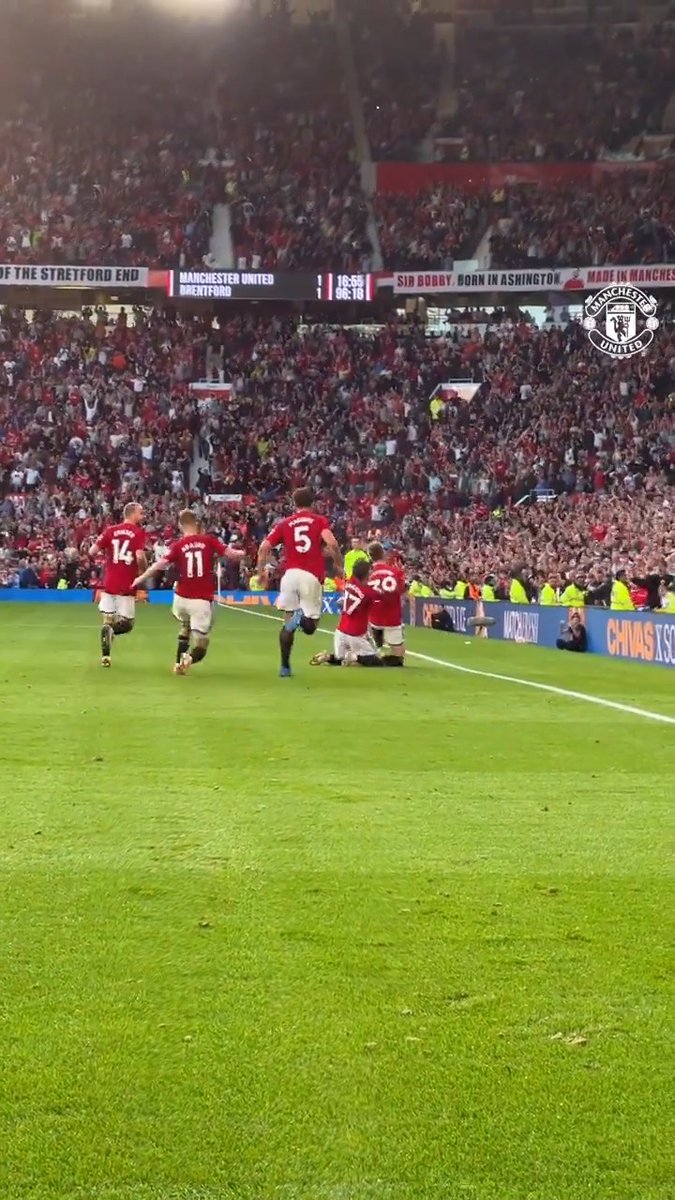 The scenes for @McTominay10's winner against Brentford! 😍🔥 #MUFC || #PL