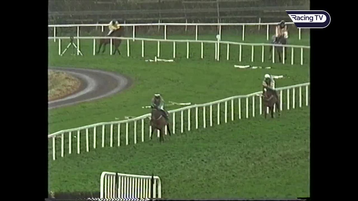 Great memoriesโค๏ธ The incredible Limestone Lad has passed away after a long and happy retirement - here's a reminder of one of his greatest days on the track, downing Istabraq at 1/7 in the 1999 Hatton's Grace Hurdle at FairyhouseRacecourse