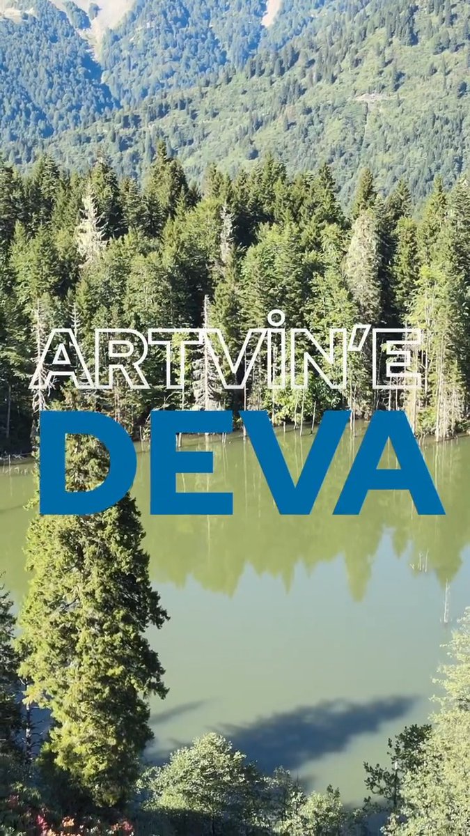 Teşekkürler Artvin!