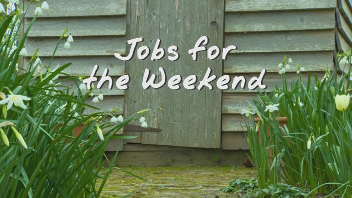 If you're not sure what you should be getting on with in the garden this weekend, here's Monty Don with a few ideas. Happy Easter 🙂 🐰 🐣 #GardenersWorld #Gardening
