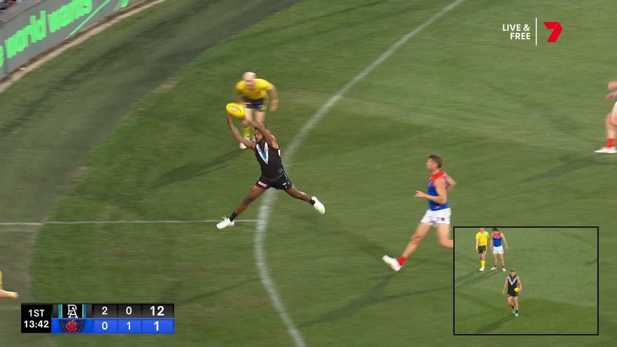 "That's out by about two metres!" Surely not again...#AFLPowerDees