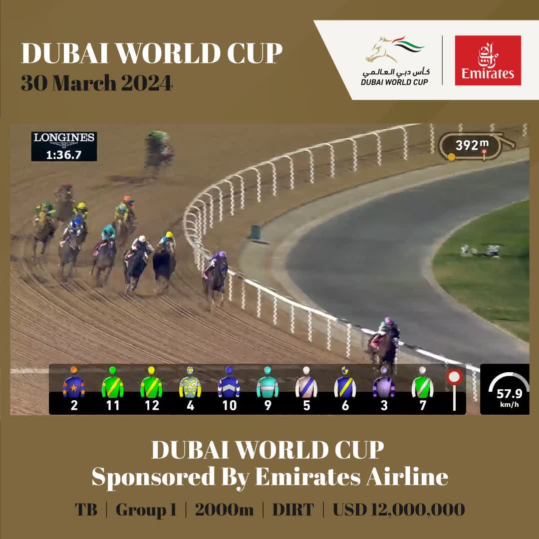 ๐๐๐๐๐๐ ๐๐๐๐๐ ๐๐๐๐ ๐๐๐ ๐๐๐๐๐ ๐๐๐๐๐ ๐๐๐! ๐ #DWC24 | Emirates | Bhupat Seemar | Tadhg o'shea | Juddmonte