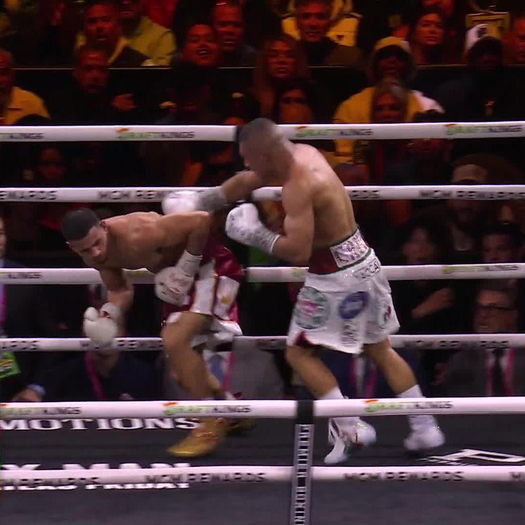 That is no Chihuahua 🐕 that is a PITBULL 🐶🥊🇲🇽 Let’s go‼️ #RollyPitbull