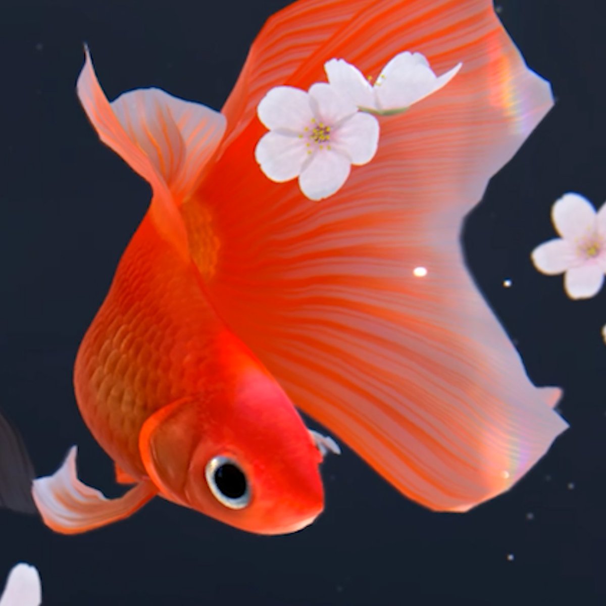 ようやく納得いく質感になりました。 赤い金魚達、提供開始です✿