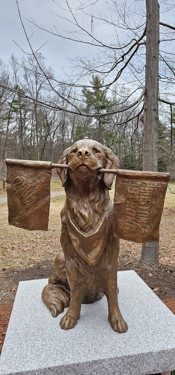 A statue has been unveiled on Mile 2 of the Boston Marathon in honor of Spencer, the official dog of the Boston Marathon, who cheered on thousands of runners for years, rain or shine. Spencer passed away last year after a battle with cancer at 13 years old. 💛💙