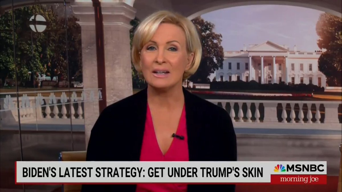 BREAKING: MSNBC is acknowledging the Biden campaigns rapid response and digital attacks on Donald Trump are infuriating the Trump campaign. Retweet so all Americans see.