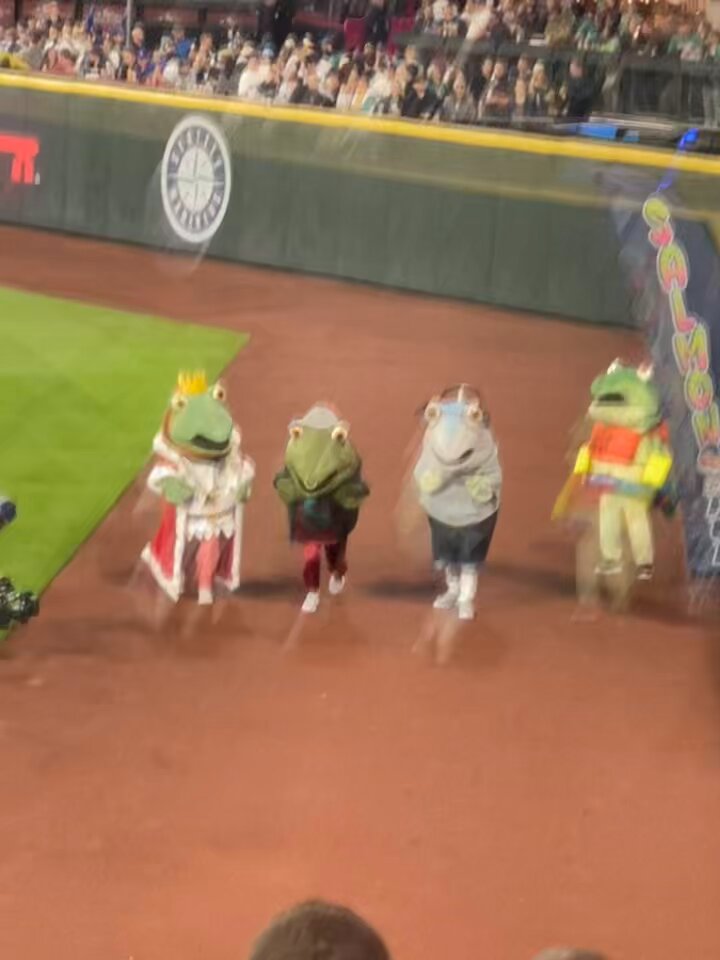 Mariners fans: Do you like the Salmon Run they've been doing?