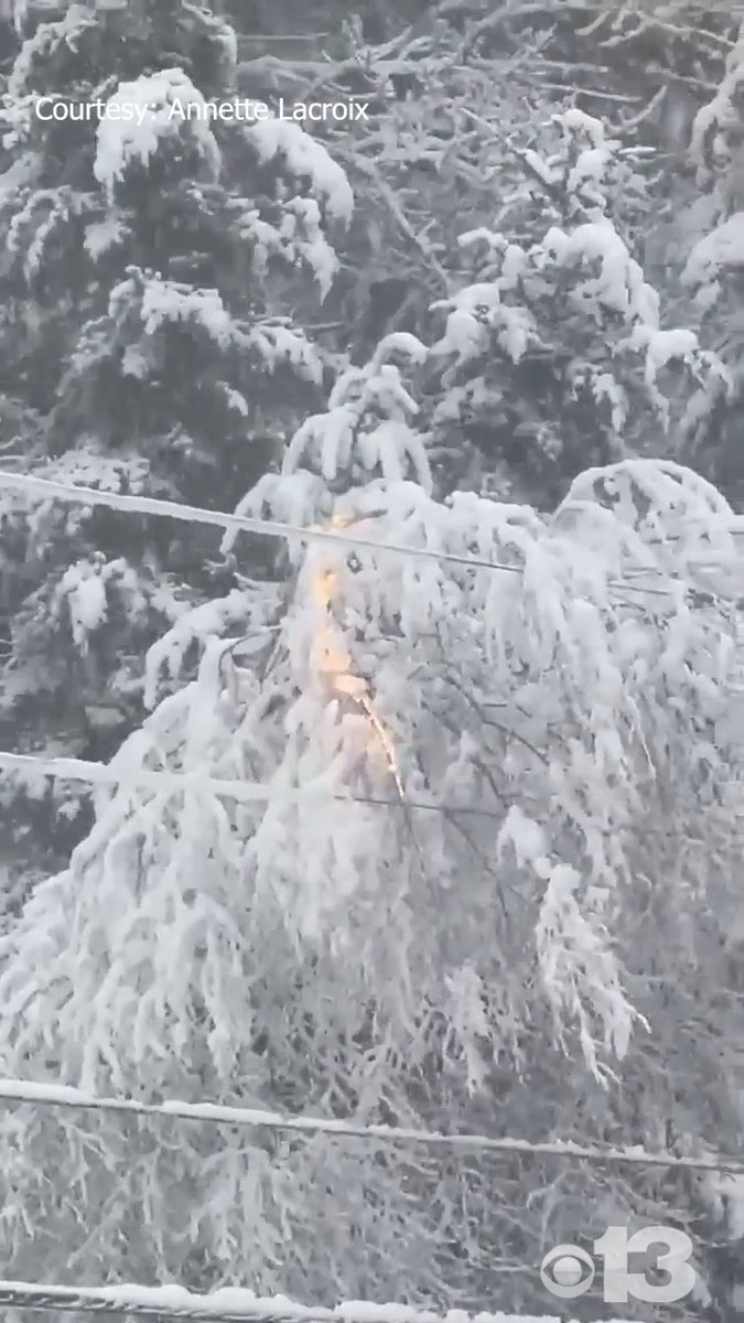 A power line sparked a tree fire on Basswood Rd. in Brunswick this morning. (📹:Annette Lacroix) STORM DETAILS: