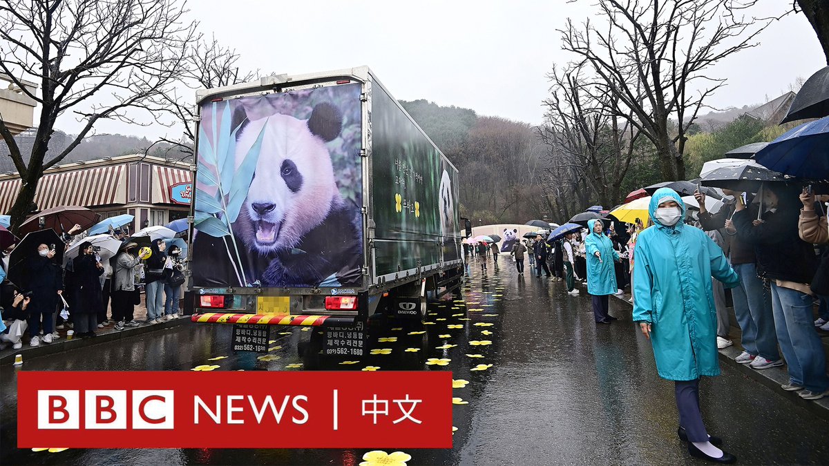 在韩国爱宝乐园,数千名情绪激动的熊猫“福宝”粉丝向牠告别。牠将前往中国参加繁育计划。 她的父母作为中国的“熊猫外交”计划的一部分被送到韩国,之后因为“福宝”的出生,公园的游客人数翻倍。