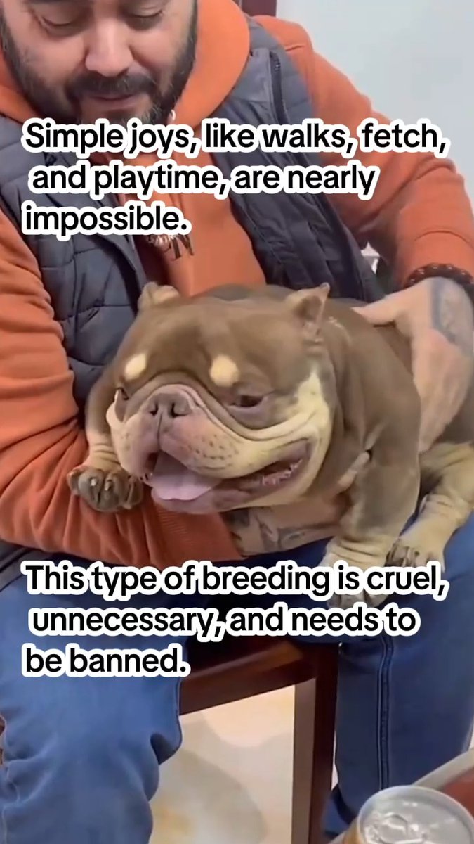 He looks like he’s in constant discomfort. Never buy dogs.