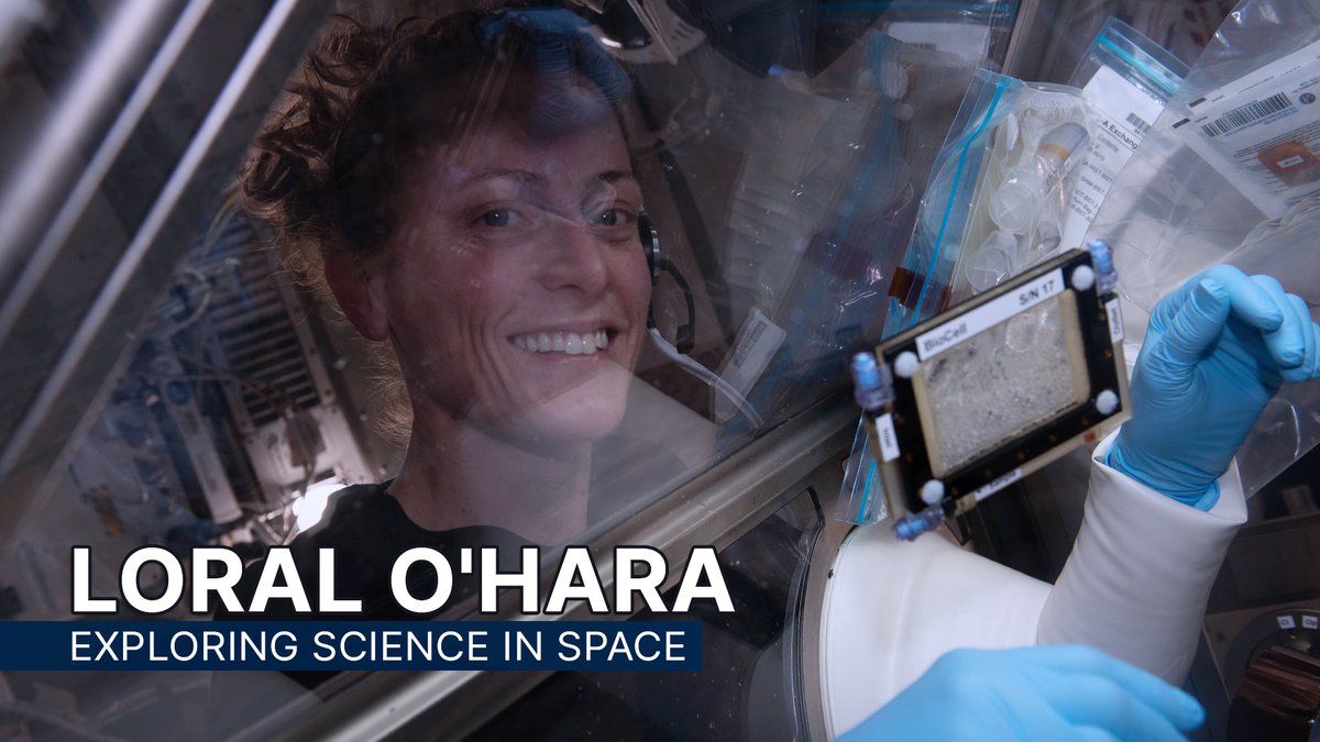 Space Tomato Gardens 🍅 Bone Loss Studies 🦴 Quantum Science ⚛️ Loral is scheduled to return to Earth tomorrow, Apr 6, after conducting science on International Space Station for the past several months. Learn more about her experiments on station: