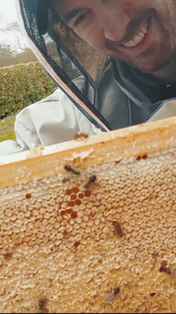 You're #TooSweet for me 🐝