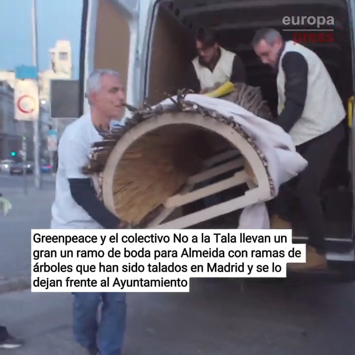 #LoMásVisto | Greenpeace lleva un gran un ramo de boda para Almeida con ramas de árboles que han sido talados en Madrid y se lo dejan frente al Ayuntamiento: "La motosierra debe ser un vicio porque ya son más de 55.000 árboles perdidos"