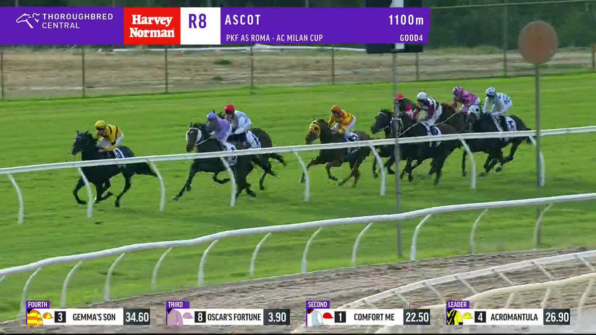 Oscar's Fortune upsets the fav Amelia's Jewel in the G3 AC Milan Cup at Ascot! Perth Racing