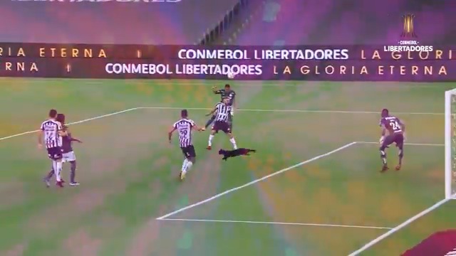 Nossa solidariedade ao gatinho fofo da Vila. Força aí, fera! 😬 #AvantiPalestra #T3rc3iraAcad3mia