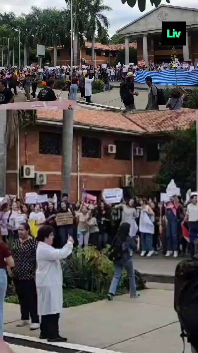 ¿Qué dijo Bachi Núñez? 🫢 Que la cantidad de estudiantes que se manifiestan es ínfima, con el fin de menospreciar la movilización estudiantil en contra de la promulgación de la ley HC, la cuál desfinancia el Arancel Cero, producto de la lucha estudiantil. ¡El que no salta es...