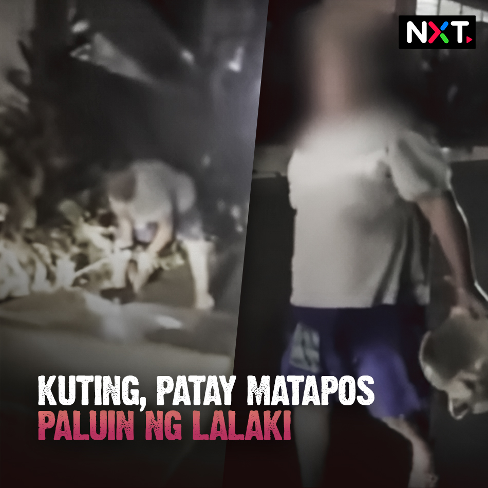 Nahaharap sa reklamo ang isang lalaki sa Makati City matapos niyang mapatay sa pamamalo ang isang kuting. Depensa ng lalaki, itinaboy niya umano ang pusa at muntik na siyang makalmot nito. Nasa kustodiya na ng pulisya ang lalaki habang iniimbestigahan ang insidente.