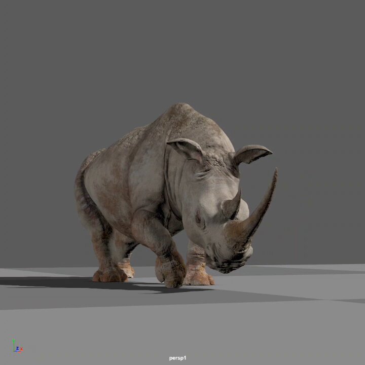 Lead Animator Nav Singh has revisited his rhino rig, showcasing a new lifelike, Maya-made 3D sequence featuring the majestic beast. More info and tutorials: #3d #3dart #3danimation #animation #animation3d #maya #maya3d #autodeskmaya #characteranimation
