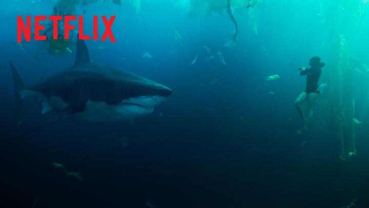 🇫🇷🦈 CINÉMA | Le film "Sous la Seine" sortira le 5 juin prochain sur Netflix. Il raconte comment Paris accueille pour la première fois les championnats du monde de triathlon sur la Seine, avec la présence d'un grand requin dans les profondeurs du fleuve.