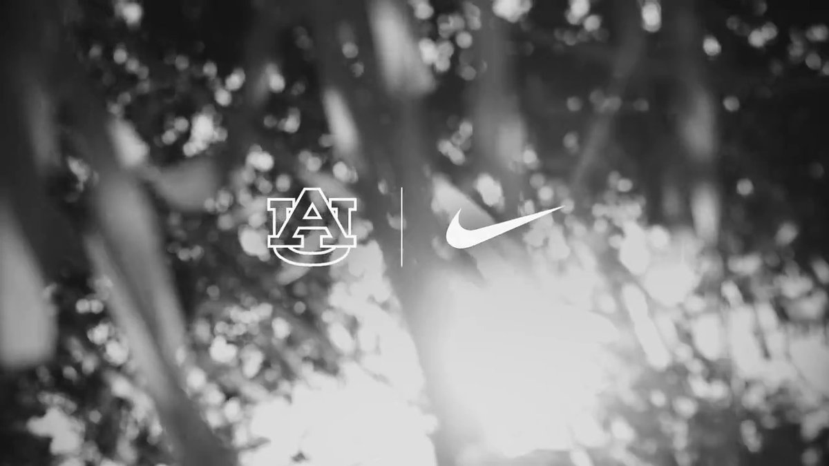 𝗧𝗮𝗸𝗶𝗻𝗴 𝗙𝗹𝗶𝗴𝗵𝘁. July 2025. #WarEagle