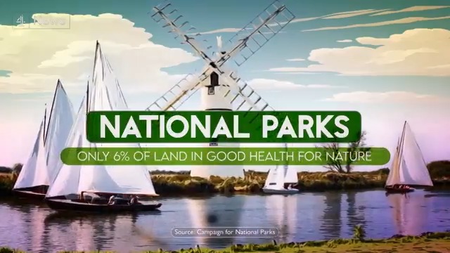 As National Parks turn 75, a new report highlights only 6% of their land is recorded as being in good health for nature - with the Yorkshire Dales having less tree cover than York and waterways across these special places heavily polluted by sewage released from storm overflows.