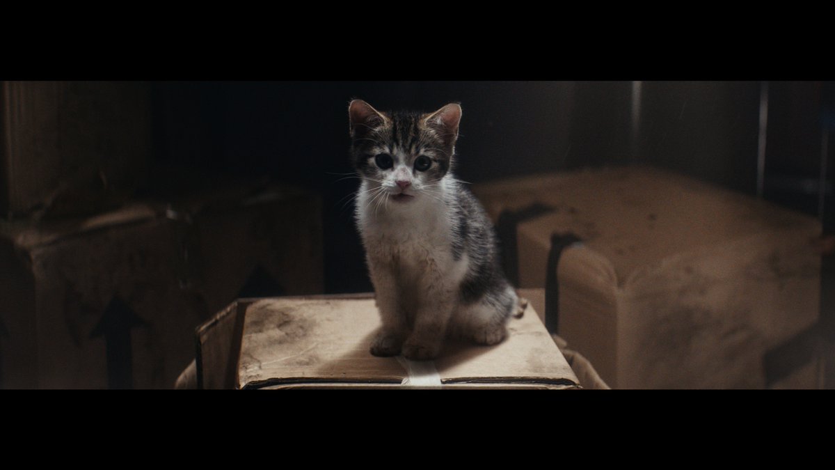Animals are facing some of the biggest challenges in our 200-year history. We're ready to meet those challenges, but we need everyone, whoever you are, to join the new RSPCA and help us change all animals' lives. We're for every kind. Are you? 💪