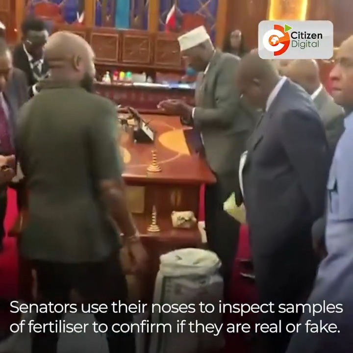 Senators use their noses to inspect samples of fertiliser to confirm if they are real or fake