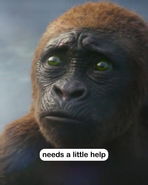 Don’t let his cuteness fool you, #MiniKong can pack a punch. #GodzillaXKong Get tickets now