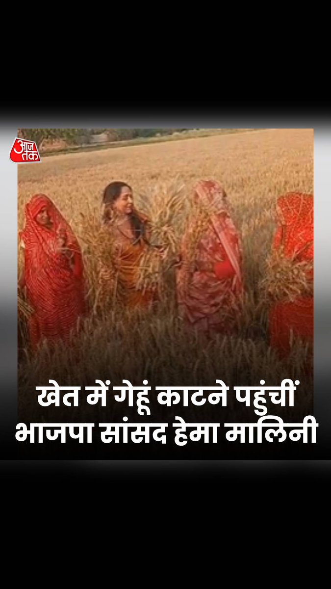 तपती दोपहरी में खेत में गेहूं काटने पहुंचीं मथुरा की सांसद हेमा मालिनी #Video #Elections2024 #LokSabhaElection2024 #BJP #Mathura #HemaMalini | Hema Malini