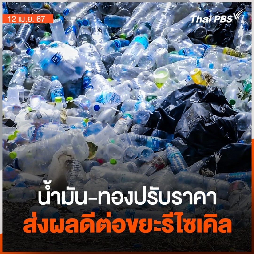 ประชาชนนำขยะรีไซเคิลมาขายมากขึ้น หลัง #ราคาน้ำมัน และ #ราคาทองคำ ปรับขึ้นราคา ส่งผลให้ราคารับซื้อขยะรีไซเคิลปรับตัวสูงขึ้นเช่นกัน เช่น ราคารับซื้อขวด PET จากเดิมกิโลกรัมละ 6 บาท ก็ขยับขึ้นเป็น 12 บาท/กิโลกรัม #วันใหม่ไทยพีบีเอส #ข่าวไทยพีบีเอส #ข่าวที่คุณวางใจ #ThaiPBS