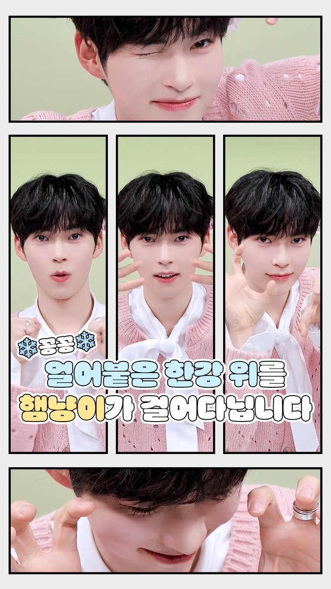 꽁꽁 얼어붙은 한강 위로 햄냥이가 걸어다닙니다 🐈🐾 🧊🧊🧊🧊🧊🧊🧊🧊🧊🧊🧊 #엠카운트다운 #MCOUNTDOWN #ZEROBASEONE #성한빈