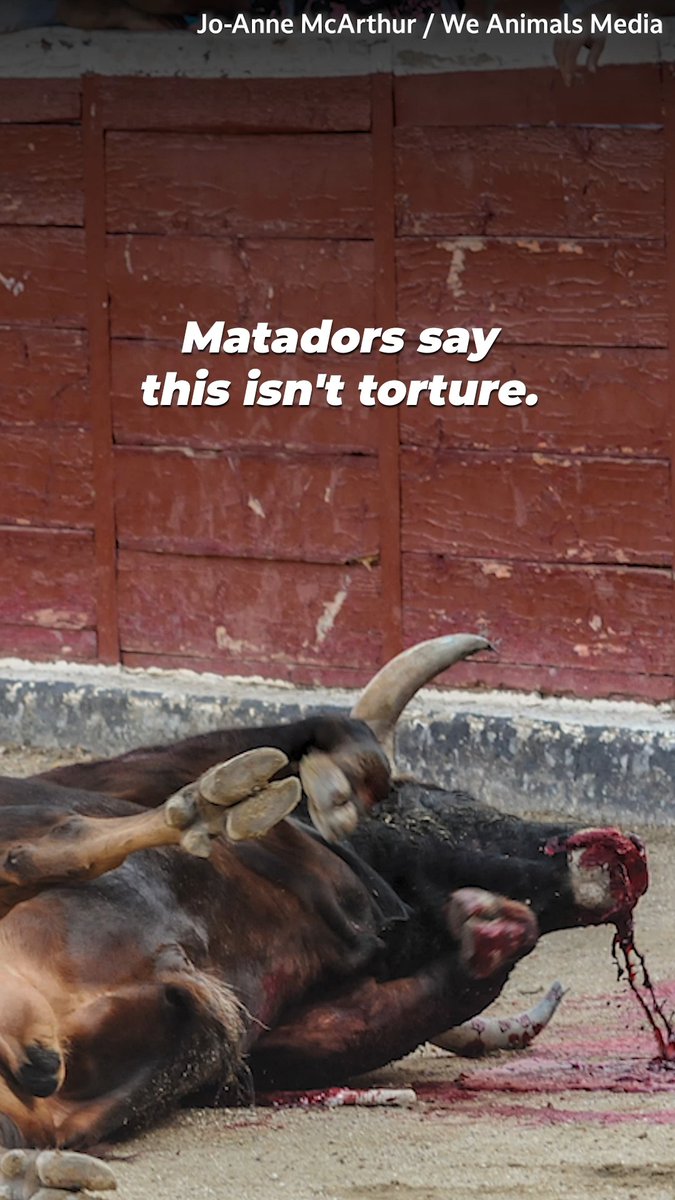 We call it sadistic.