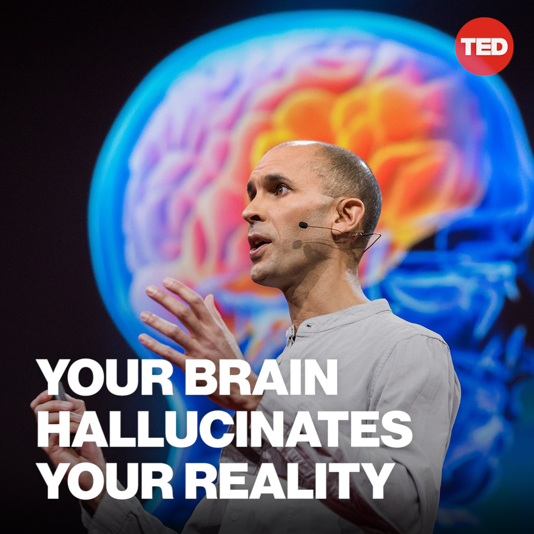 "We're all hallucinating all the time, including right now. It's just that when we agree about our hallucinations, we call that reality." Watch Anil Seth's full TED Talk here:
