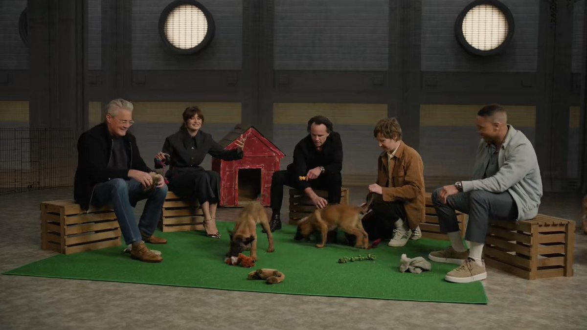 It's a Dog-Meet!!!!