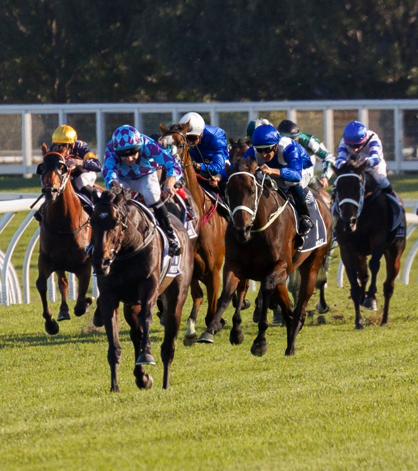 How far behind PRIDE OF JENNI would WINX have been at different stages throughout her final start in the G1 Queen Elizabeth Stakes? 💨 Have a look below 👇🏼