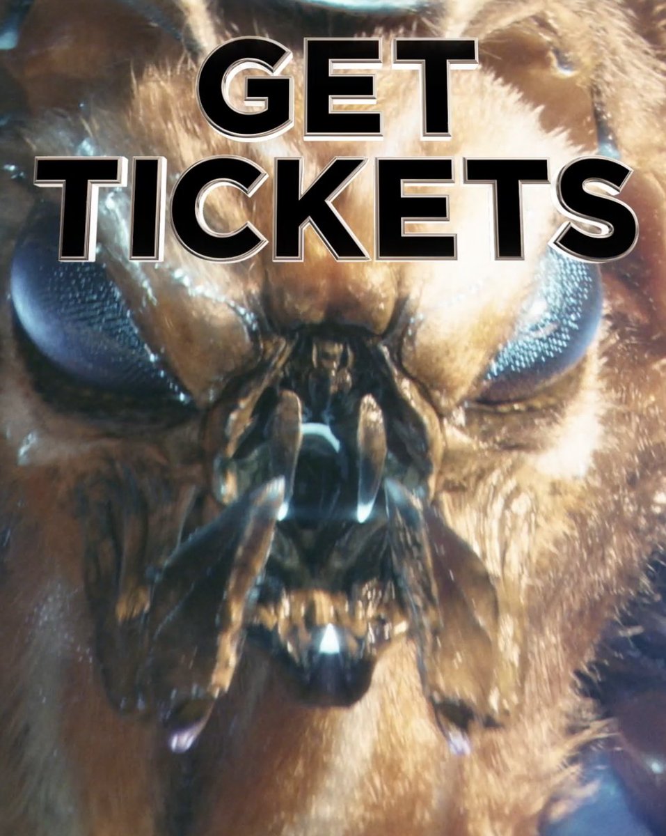 Don’t miss seeing Mothra, Kong, Godzilla and more in all their glory on the big screen. Get tickets to #GodzillaXKong: The New Empire today.